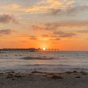 Meet your Posher, Mila